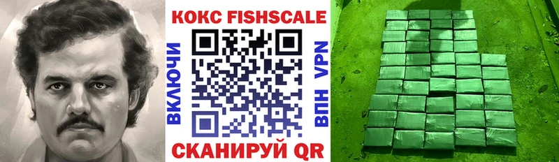 Cocaine Fish Scale Златоуст