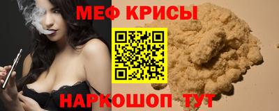 стаф Гай