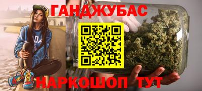 стаф Гай
