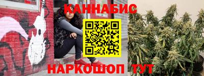 стаф Гай
