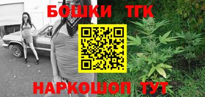 стаф Гай