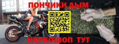 стаф Гай