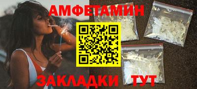 стаф Гай
