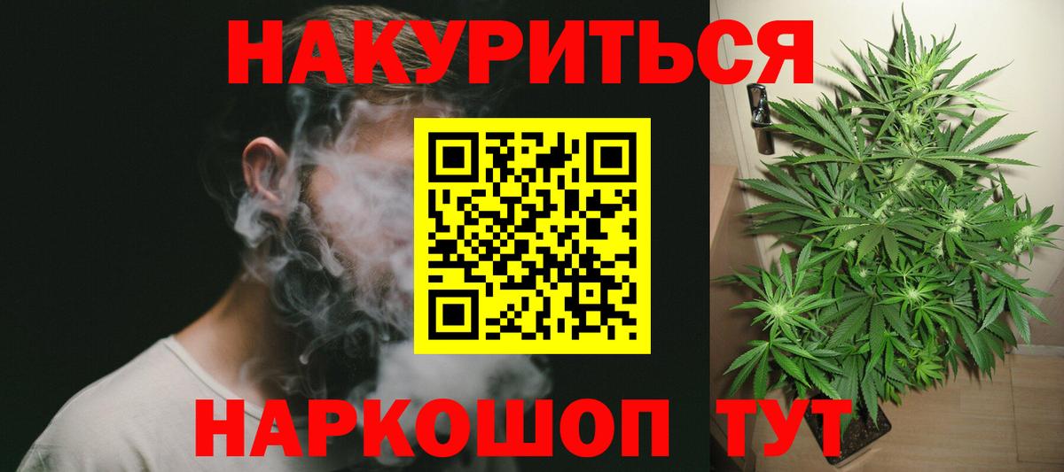 Шишки марихуана планчик  Марихуана план  Вход с VPN  Златоуст  Конопля MAZAR  Каннабис тримм 